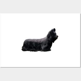 Skye Terrier Black Beauty Posters and Art